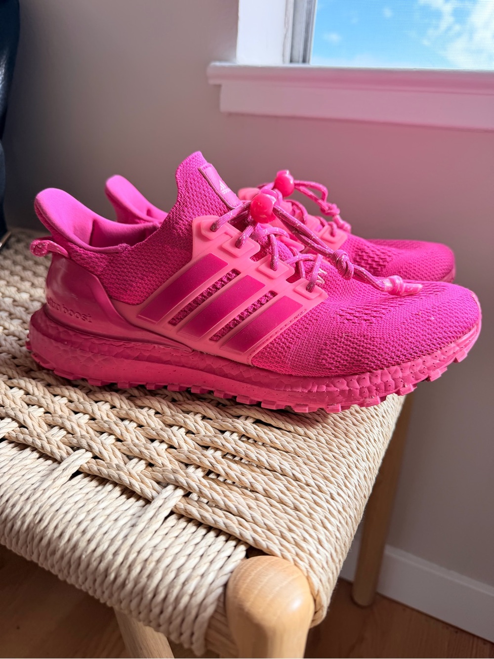 Adidas Ivy Park ultraboost